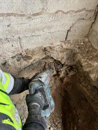 {{brizy_dc_image_alt imageSrc=